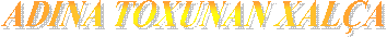 ADINA TOXUNAN XALÇA